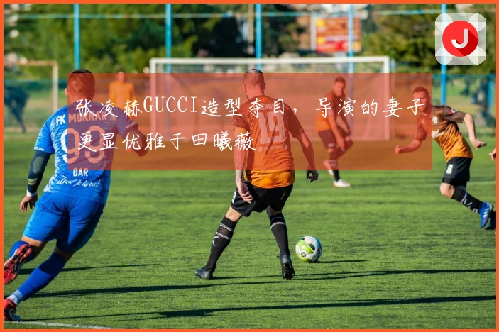 张凌赫GUCCI造型夺目，导演的妻子更显优雅于田曦薇